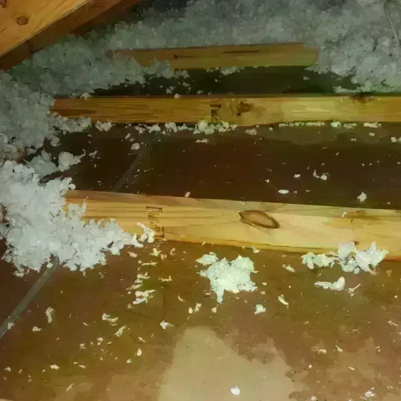 Attic Water Damage in Lake City, SC