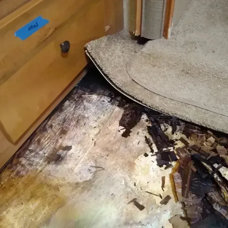 Best Wood Floor Water Damage Service in Lake City, SC